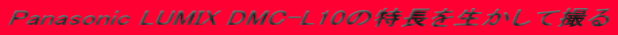 Panasonic LUMIX DMC-L10�̓����𐶂����ĎB��
